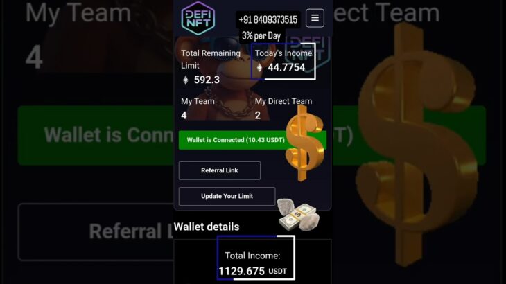 defi nft decentralised project 3%per day profit