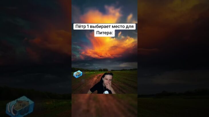 #nft #петр1 #питер #санктпетербург #работягин #мем #смешно #смех