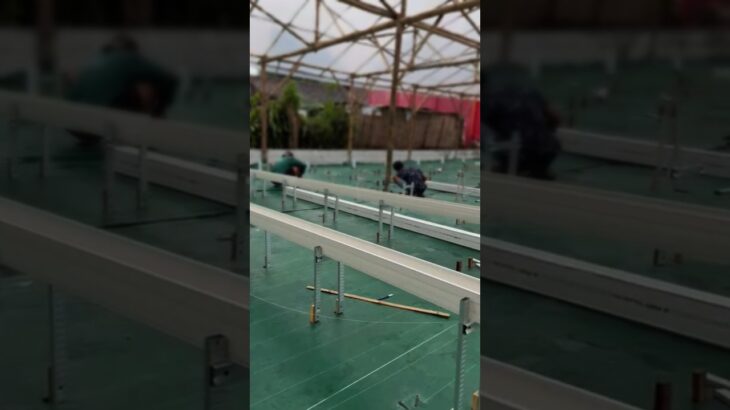 pemasangan instalasi greenhouse hydroponic nft #mediatanam88 #music #dj