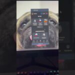 promo: DTGIFT | bot: GiftsBattle_bot #giftsbattle #рек #nft #подаркитг