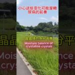 糖尿病的前奏 #uncle Dockong #独刚 #糖尿病