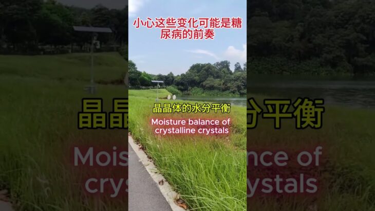 糖尿病的前奏 #uncle Dockong #独刚 #糖尿病
