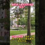 糖尿病人最危险的宵夜组合 #uncle dockong #独刚 #dockong #糖尿病