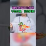 糖尿病的關鍵，不在血糖，而在胰臟！你忽略的代謝真相