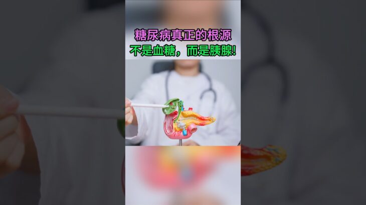 糖尿病的關鍵，不在血糖，而在胰臟！你忽略的代謝真相