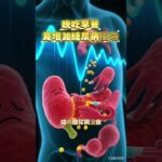 晚吃早餐境增加糖尿病風險