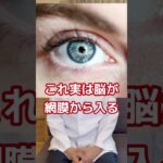 【糖尿病専門医。顔色をうかがう、の科学。肌の色は実はみんなおんなじ！？】#糖尿病専門医 #脳科学ダイエット #美容