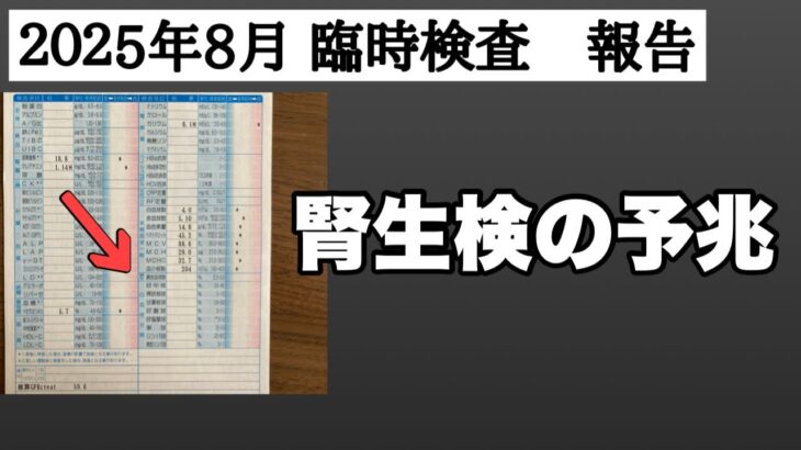 【糖尿病予備軍】２０２５年８月度　臨時検査報告