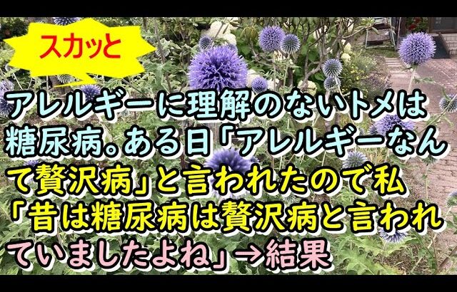【スカッと】アレルギーに理解のないトメは糖尿病。ある日「アレルギーなんて贅沢病」と言われたので私「昔は糖尿病は贅沢病と言われていましたよね」→結果【痛快・スカッとジャパン！】