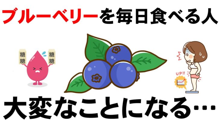ブルーベリーを毎日食べると大変なことに…【血糖値・糖尿病・肥満・ダイエット】