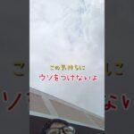 糖尿病の人が作ったトゥントゥントゥンサフールに恋をしているバズってくれ(願望)