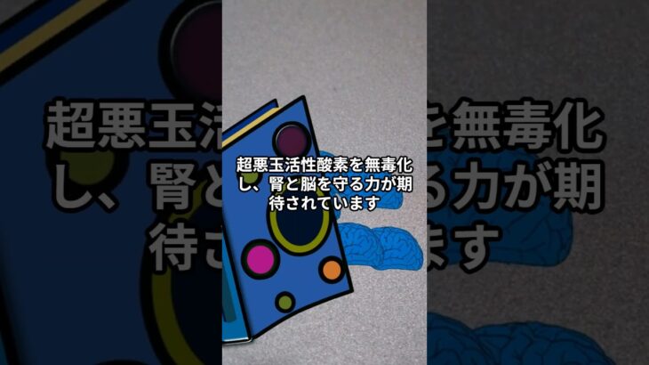 糖尿病性腎症は“腎臓の血管疲労”から始まります。高血糖や酸化ストレスが細胞を傷つけ、老廃物の排泄力も低下。日々の生活リズム・食事・睡眠が、未来の腎を支える鍵です。詳しくはコチラまで👇