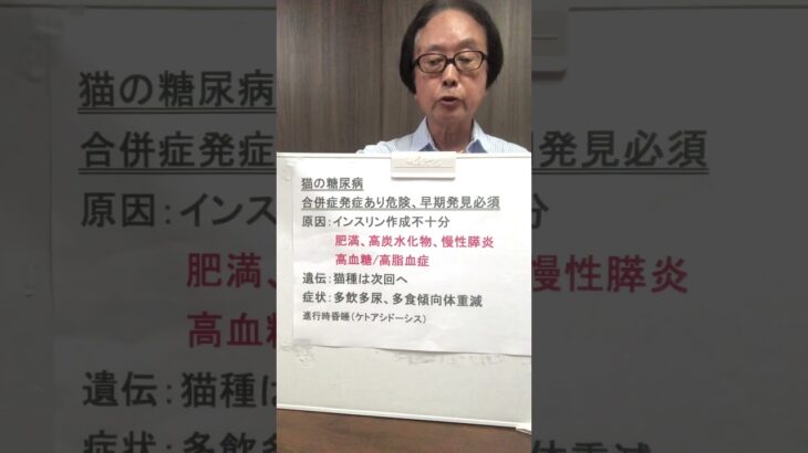 猫糖尿病はどんな病気から起こって来るか初期症状は？