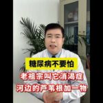 糖尿病不要怕，老祖宗叫它消渴症，河边的芦苇根加一物#糖尿病 #阴虚 #中医养生 #清热泻火 #抖出健康知识宝藏