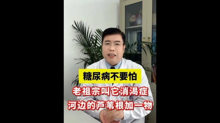糖尿病不要怕，老祖宗叫它消渴症，河边的芦苇根加一物#糖尿病 #阴虚 #中医养生 #清热泻火 #抖出健康知识宝藏