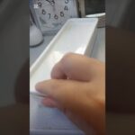 (糖尿病と自閉症)捕食用の弁当