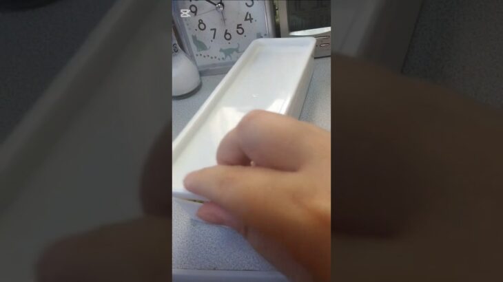 (糖尿病と自閉症)捕食用の弁当