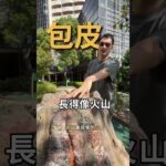 包皮長得像火山🌋是怎麼了!ㅤㅤㅤㅤㅤㅤㅤㅤㅤ #鳥科學顧芳瑜醫師 #糖尿病 #包皮龜頭炎 #泌尿科醫師醫師