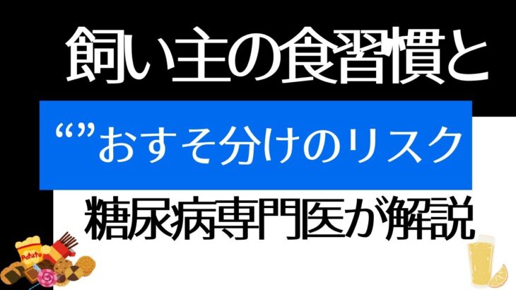飼い主の食習慣と“おすそ分け”のリスク｜糖尿病専門医が語る、ペットと人の健康寿命