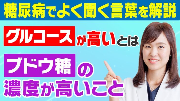 【糖尿病の言葉】『グルコースが高い？』それ、ブドウ糖のことです！