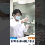 糖尿病患者の尿から糖を精製