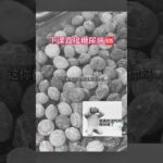 下課直接￼糖尿病￼#搬運 #互訂 #不要上推薦 ￼