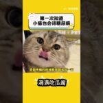 頭一次知道小貓也會得糖尿病