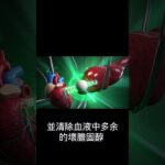 他汀类药物：降血脂明星，部分竟增加糖尿病风险！