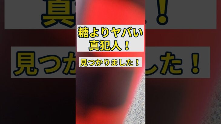 医師が警告!甘いものより怖い糖尿病の原因!#糖尿病予防 #脂肪 #血糖値 #インスリン抵抗性 #健康習慣 #食生活改善 #生活習慣病