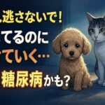 食べてるのに痩せていく…それ、糖尿病かもしれません