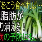 大葱を“こう”食べれば内臓脂肪も即効消える！血管・糖尿病予防にも効く大葱の驚きの効果とは——。