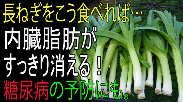大葱を“こう”食べれば内臓脂肪も即効消える!血管・糖尿病予防にも効く大葱の驚きの効果とは——。