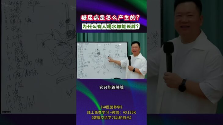 糖尿病是怎么产生的?为什么有人喝水都能长胖? #糖尿病 #高血糖 #高血脂 #中医  #中医营养学 #养生 #大健康