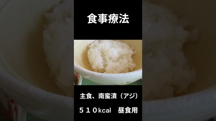 糖尿病の病院食、主食、南蛮漬（あじ）昼食用