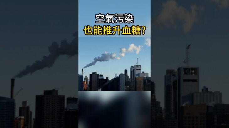 糖尿病誘因：環境與污染