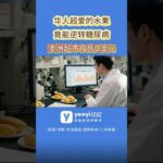澳洲特产水果，每天一个竟能逆转糖尿病！