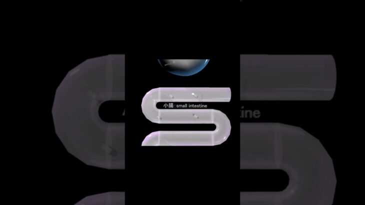 糖尿病　正常1 ショート