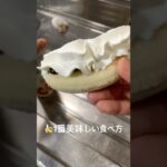 1番美味しいバナナの食べ方開発した 糖尿病全食事記録988日目