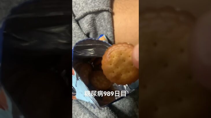 ミレービスケットは1日1袋まで 糖尿病全食事記録989日目