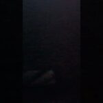 11月14日は「世界糖尿病デー」であり、日本では「いい石の日」「いい投資の日」「アンチエイジングの日」「埼玉県民の日」「医師に感謝する日」など、