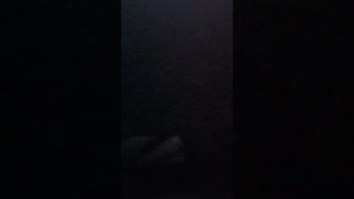 11月14日は「世界糖尿病デー」であり、日本では「いい石の日」「いい投資の日」「アンチエイジングの日」「埼玉県民の日」「医師に感謝する日」など、