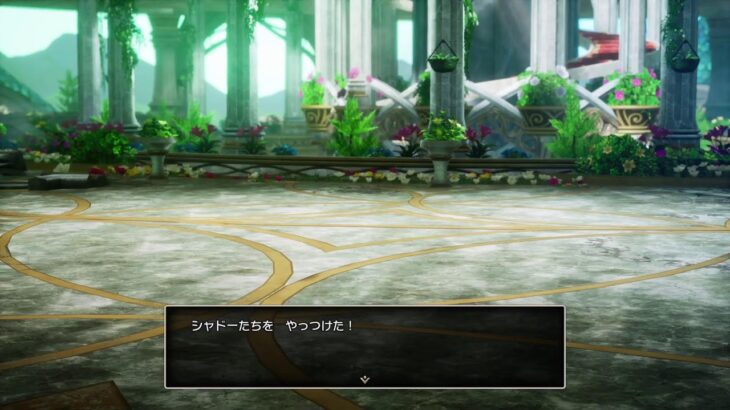 ドラクエ1&2　糖尿病ですがはじめてみます8  日本史検定試験おわったので再開4