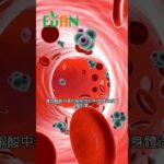 糖尿病患者也不適合進行168斷食法#艾門享受健康計畫 #飲食計畫 #減肥 #瘦身 #健康  #蔬果漾 #優菌多 #亮妍肌漾