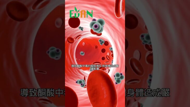 糖尿病患者也不適合進行168斷食法#艾門享受健康計畫 #飲食計畫 #減肥 #瘦身 #健康  #蔬果漾 #優菌多 #亮妍肌漾