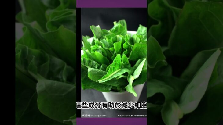 菠菜預防心臟病、糖尿病、高血壓的突出功效 2