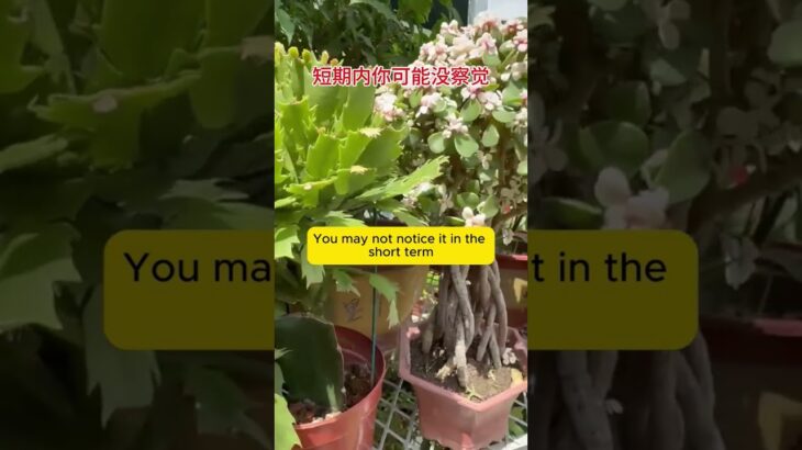 2分钟让你了解糖尿病。 #uncle dockong #独刚 #dockong #糖尿病