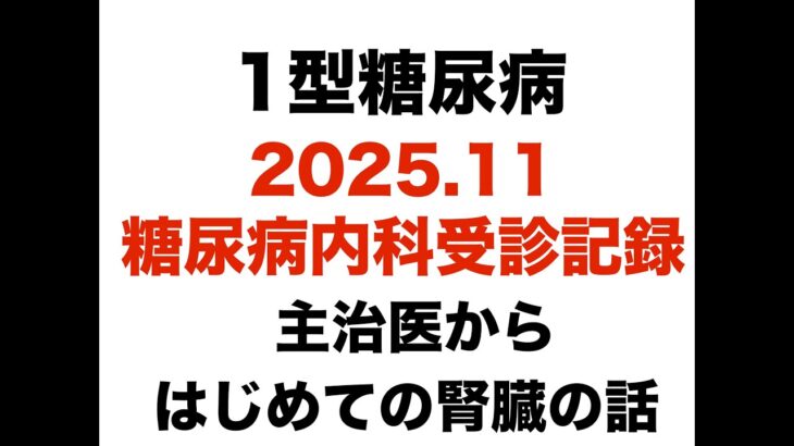 【１型糖尿病】2025.11 糖尿病内科受診記録～主治医からはじめての腎臓の話がありました～