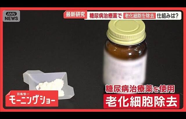 玉川徹が最新研究を取材　糖尿病治療薬で老化細胞を除去　ヒトでの臨床研究も開始【羽鳥慎一モーニングショー】(2025年11月13日)