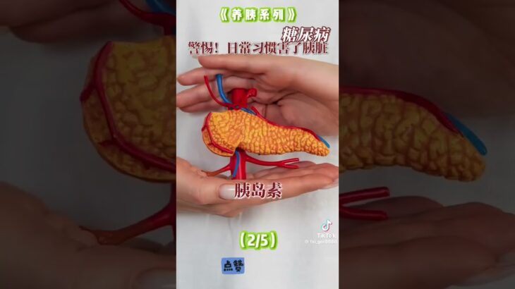 2025年11月2日健康常識[糖尿病]預防漫談!