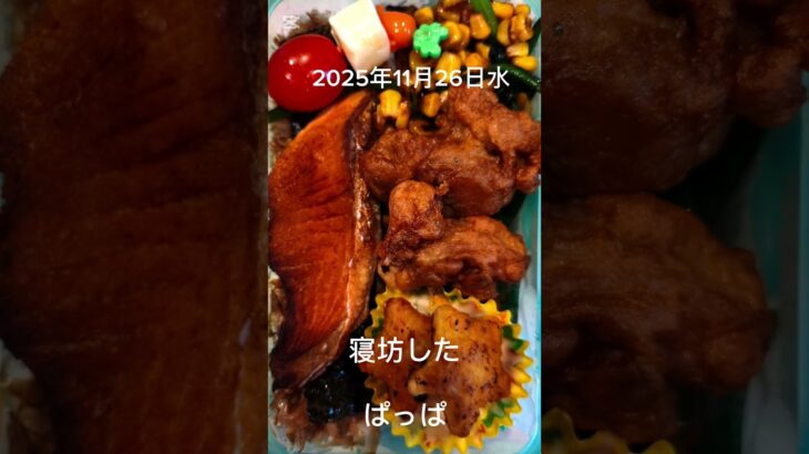 #2025/11/26/6:30#糖尿病弁当#パパ弁当#鮭おかかのり弁当#shorts